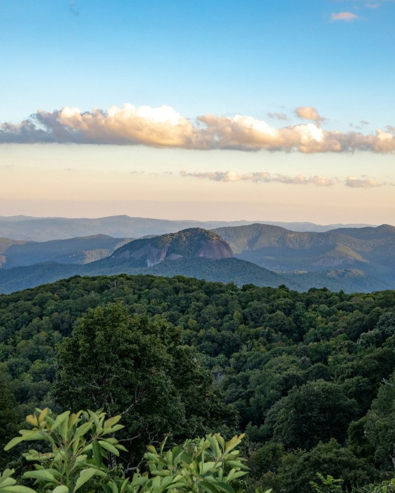 asheville