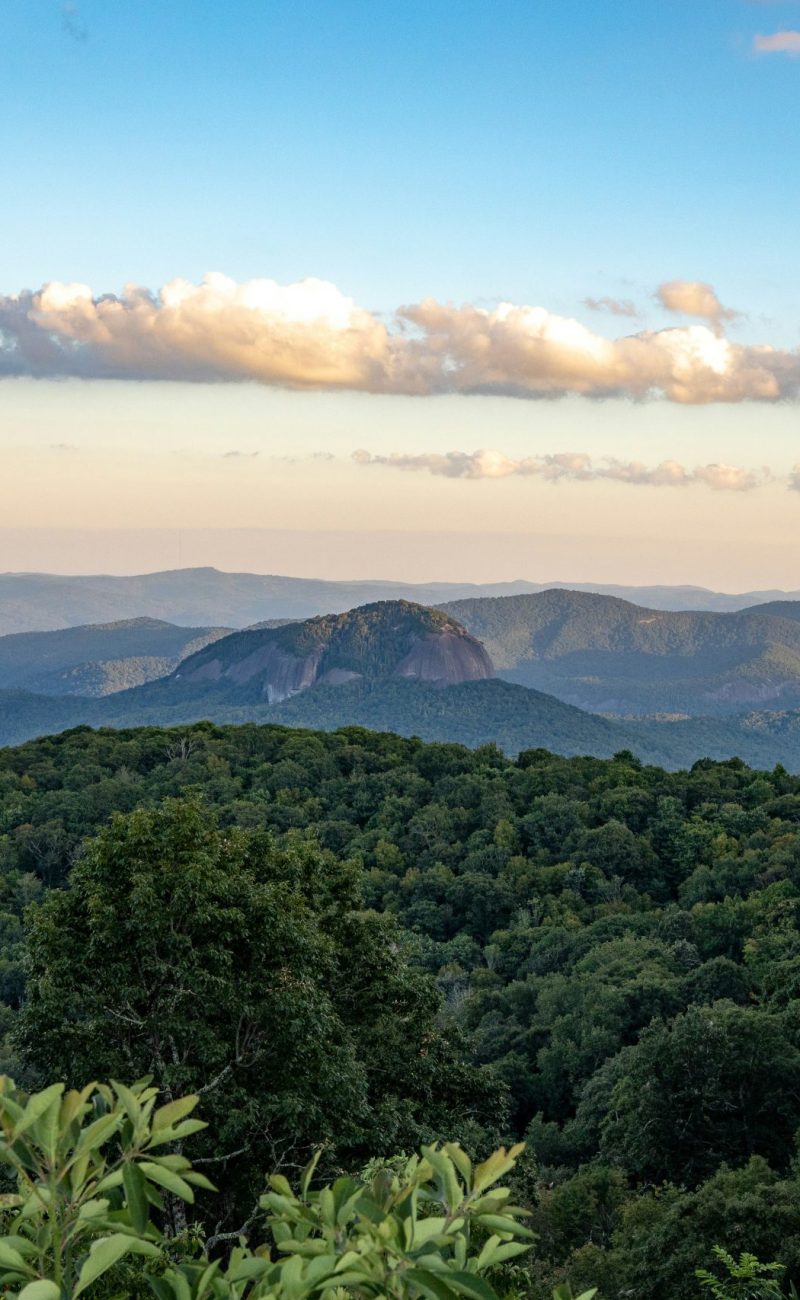 asheville